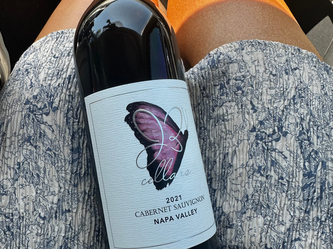 Invention Vineyards-弗雷德里克斯堡必去景点