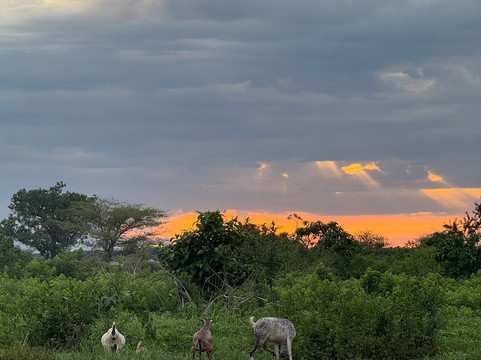 BomaHills Tourism Limited-Juba必去景点