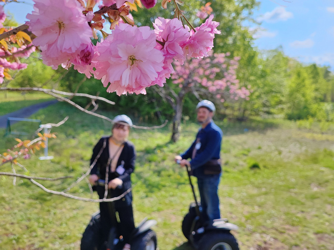 Segway Guided Tours in Hakodate-Onuma-七饭町必去景点