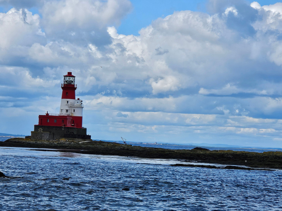 Serenity Farne Island Boat Tours景点图片