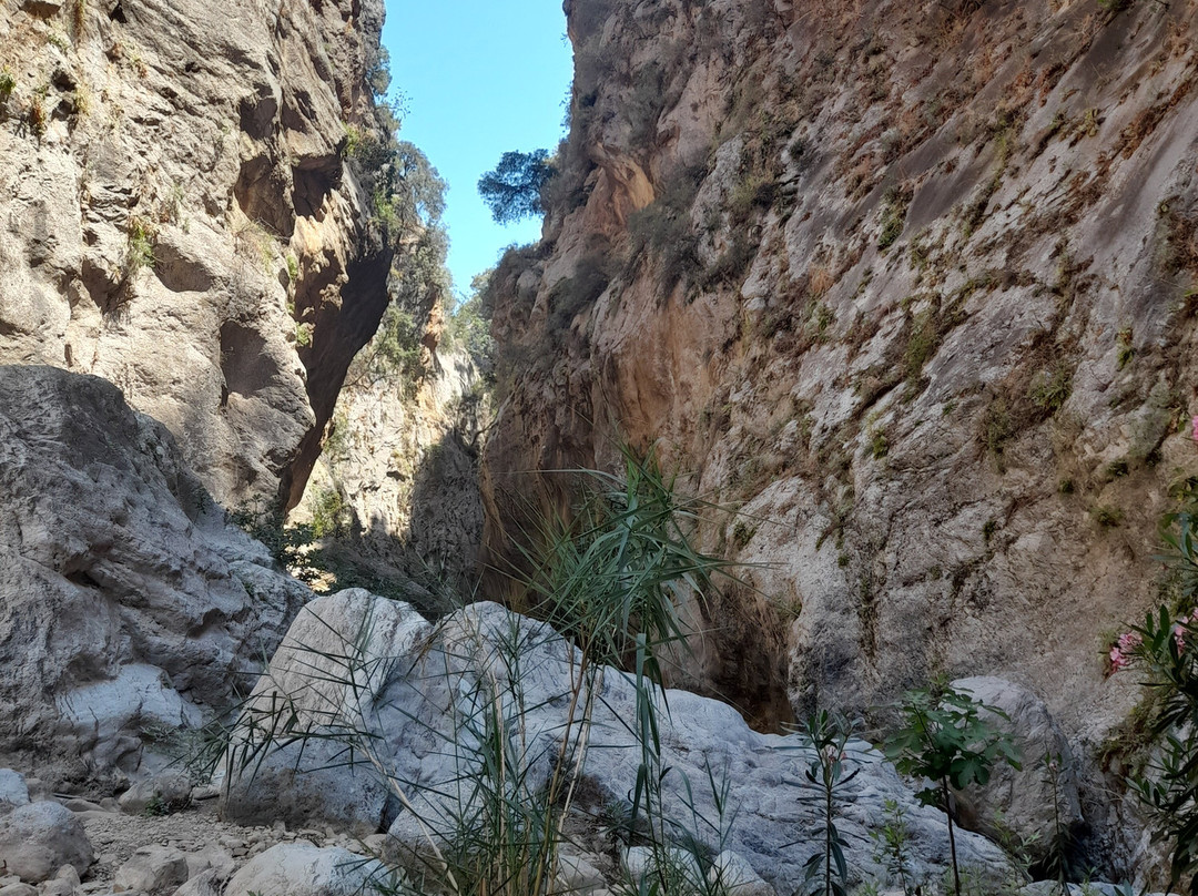 Experience Crete-Sitia必去景点