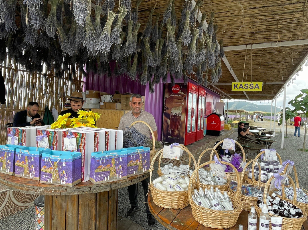 Essenso Lavender Field-Qabala必去景点