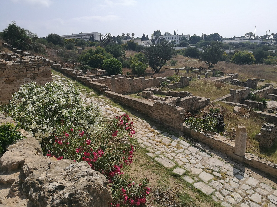 Villas Romaines-迦太基必去景点