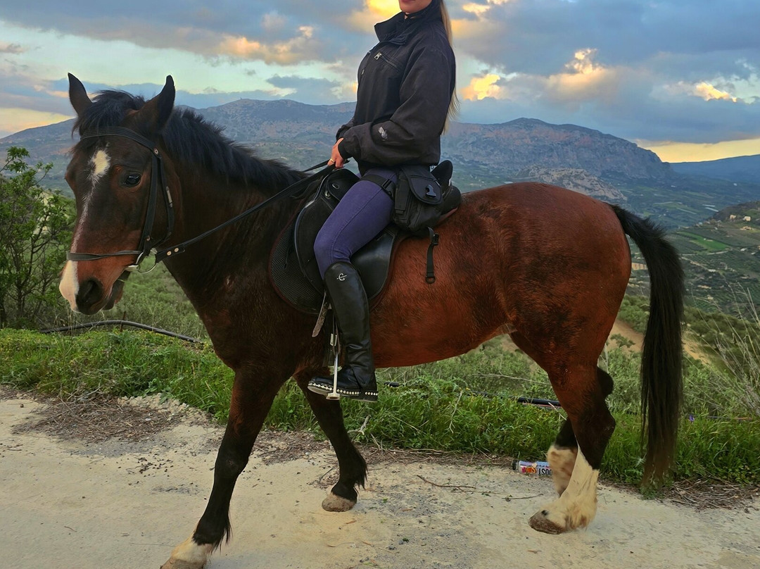 Finikia Horseriding景点图片