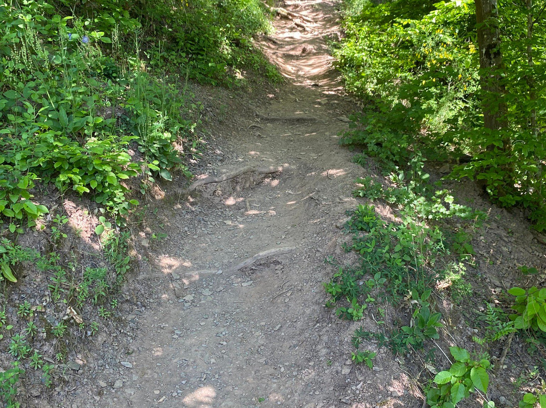 Calmont Klettersteig-Bremm必去景点