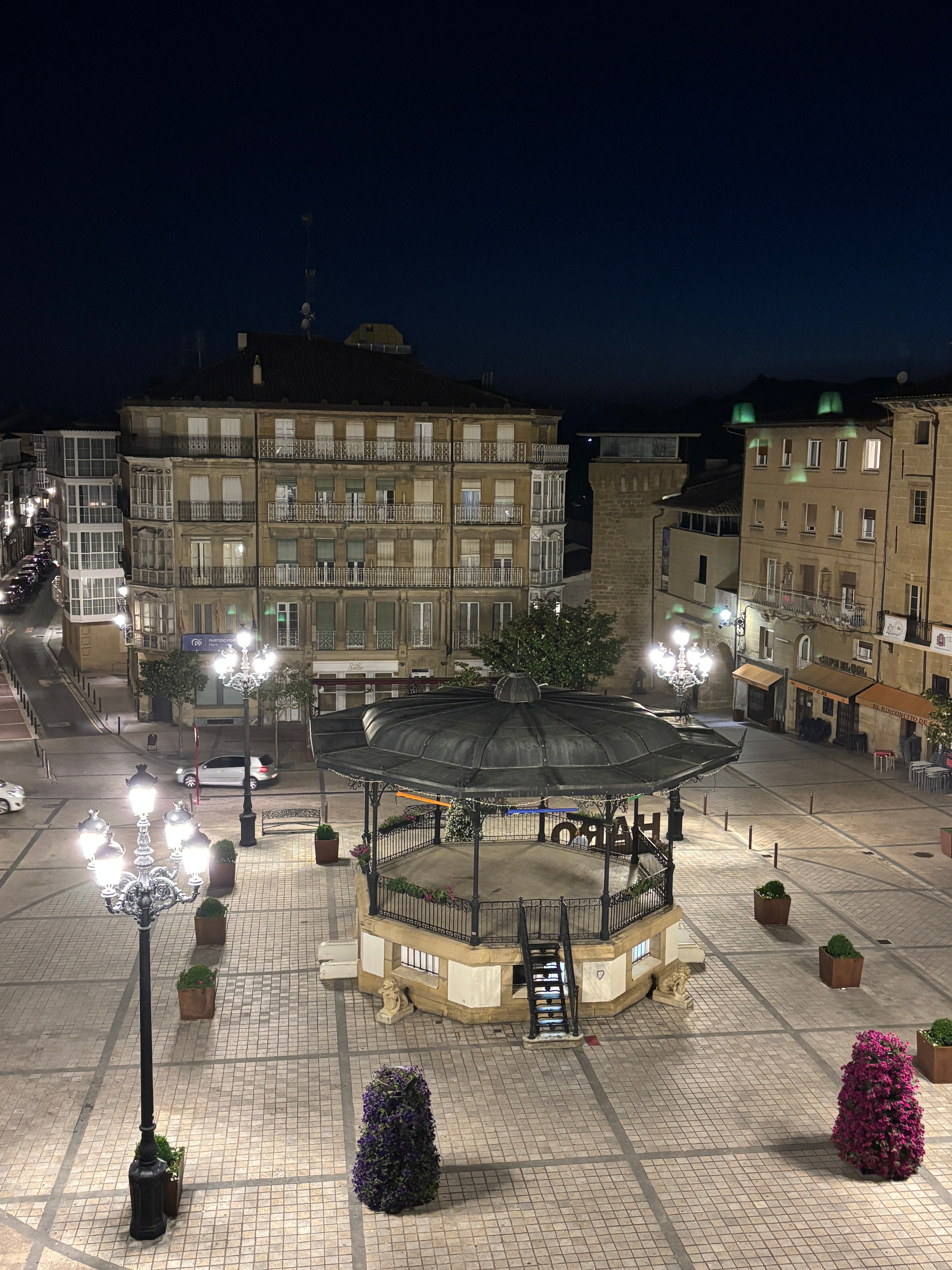 Hotel Plaza de la Paz-酒店景观