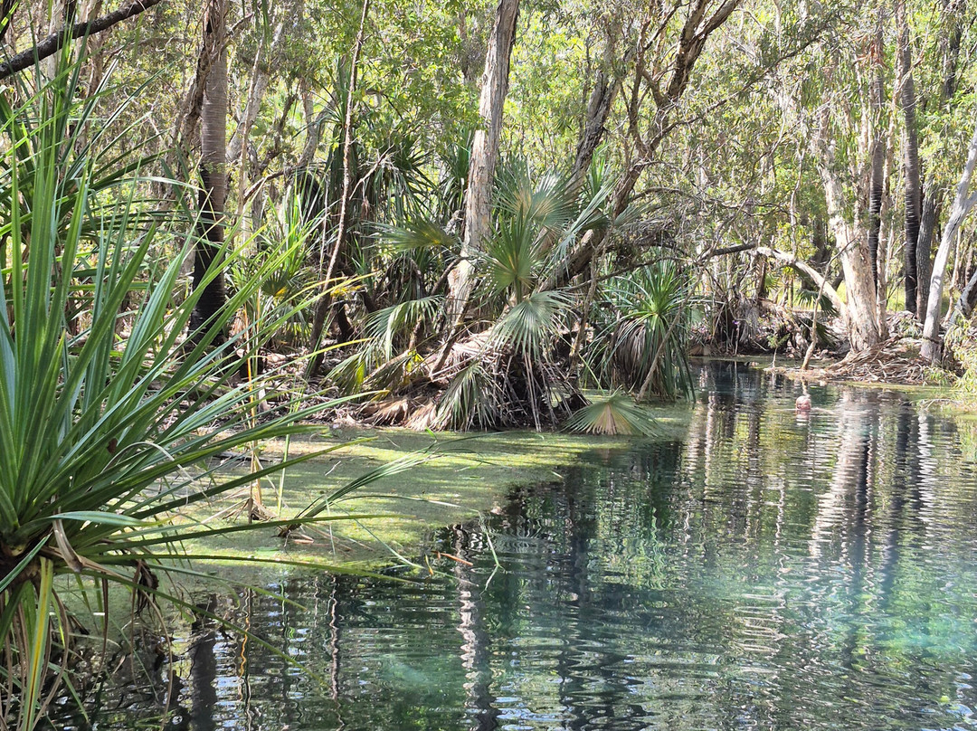 Bitter Springs-Mataranka必去景点