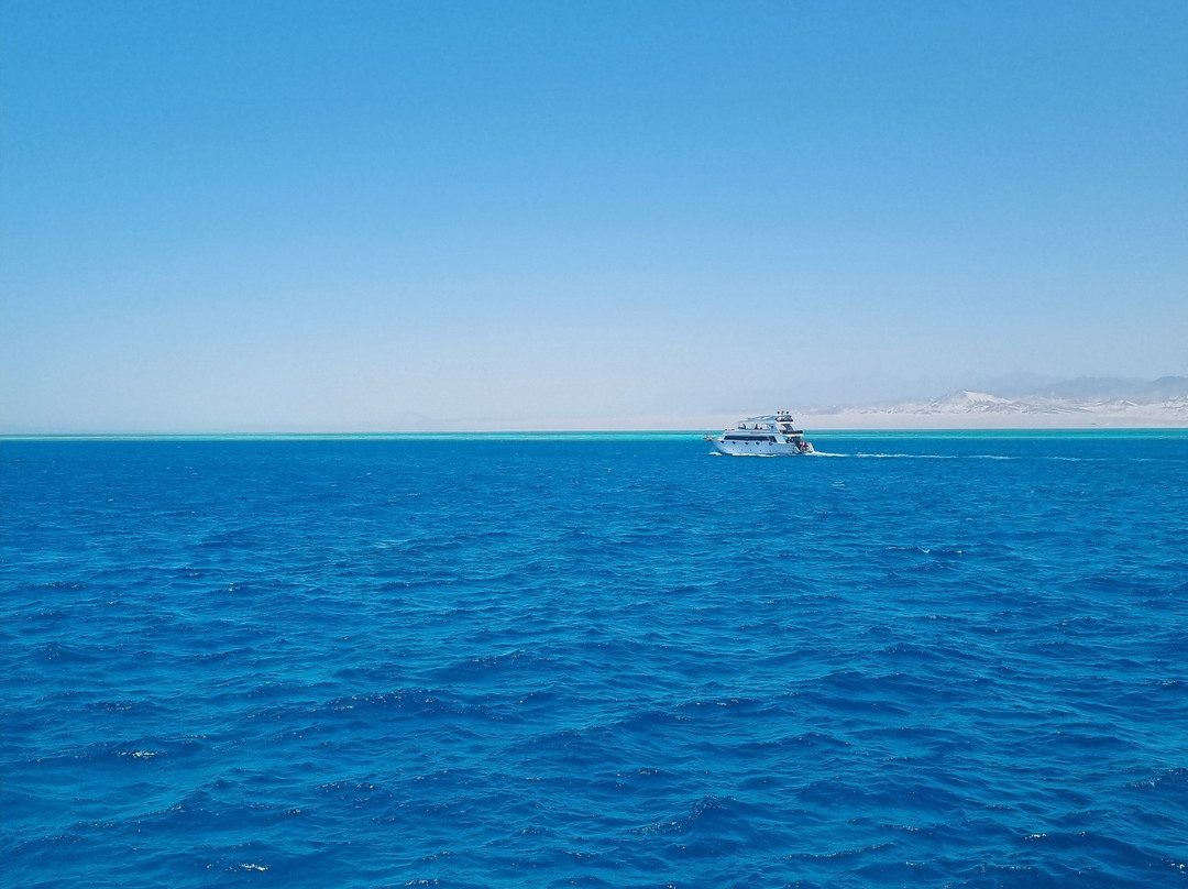 Blue Planet Diving Center景点图片