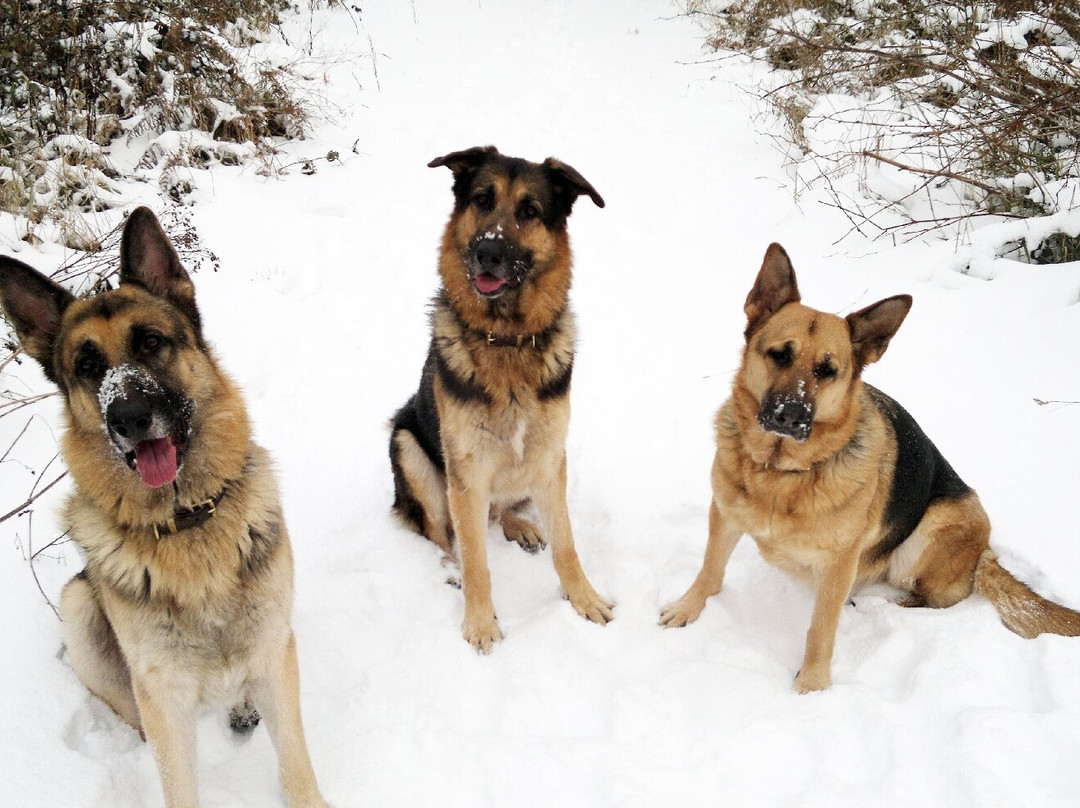 Neldi Art Gallery-帕福斯必去景点