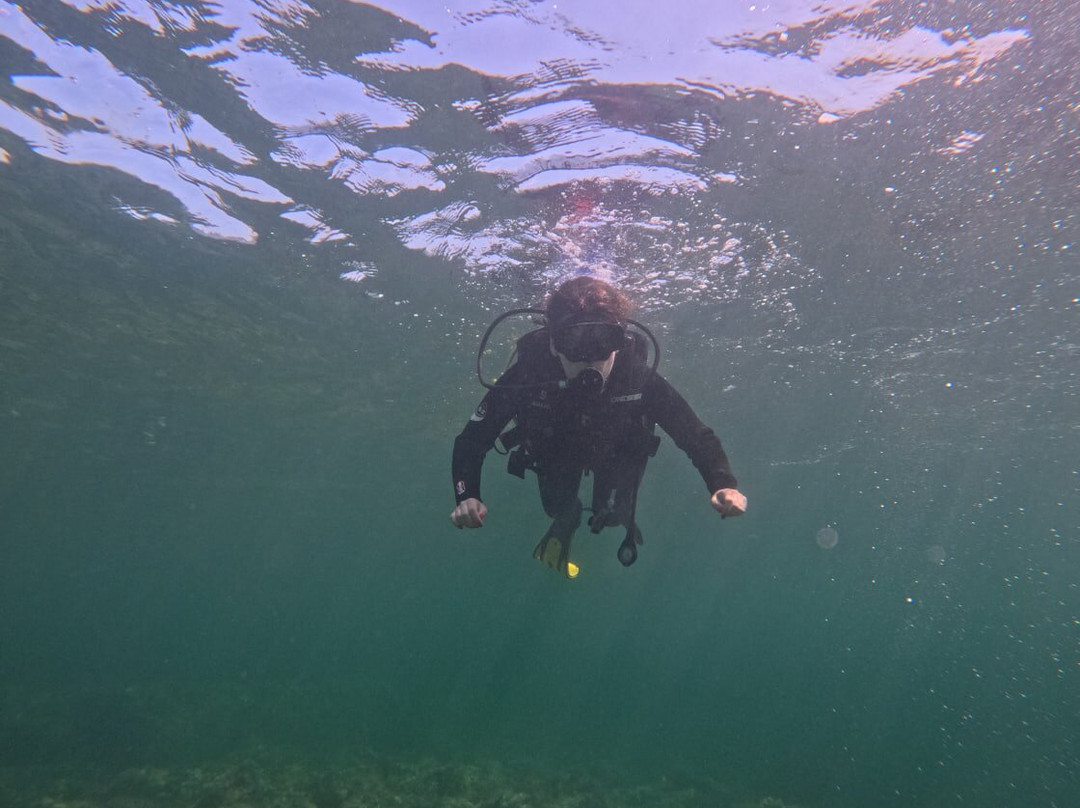 Albatros Diving-爱博纳必去景点