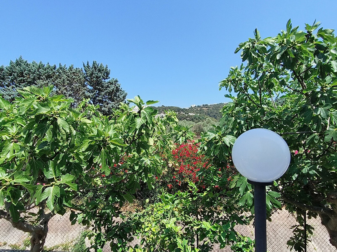 帕西菲卡别墅民宿主图