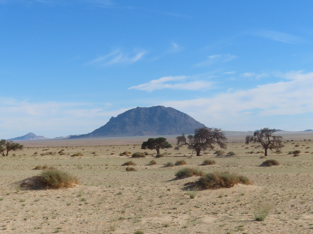 Wild Horses of Aus-Aus必去景点