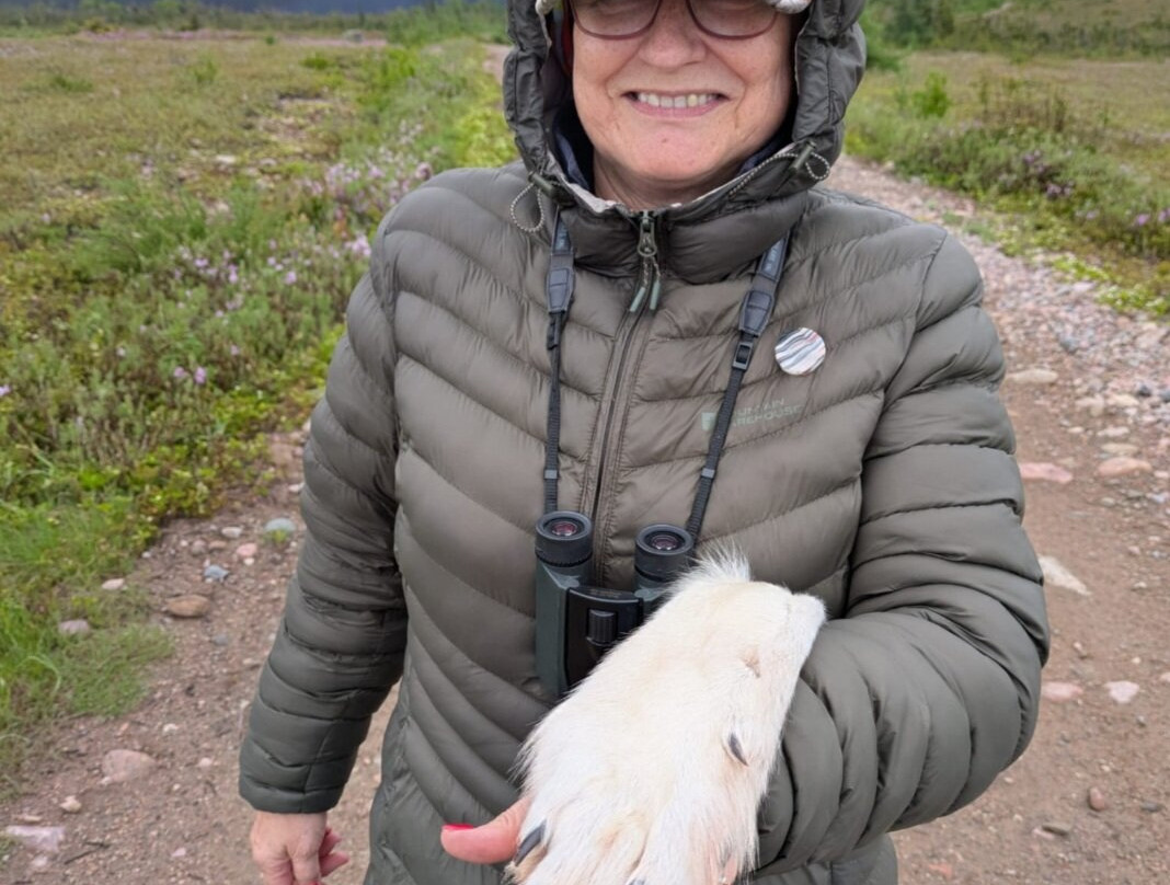 Under the Stump Inc-Rocky Harbour必去景点