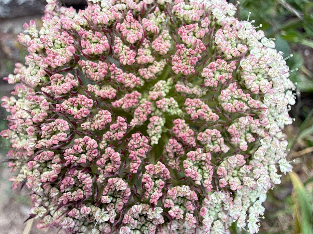 e-Xplore Devon-金斯布里奇必去景点