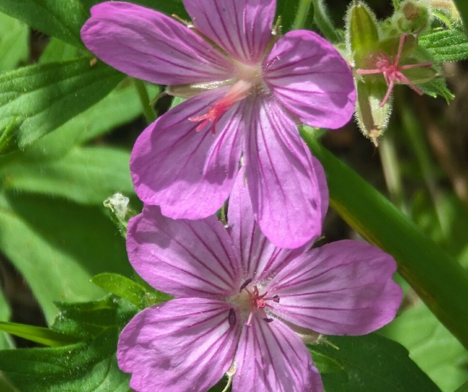 Sinks Canyon State Park-兰德尔必去景点