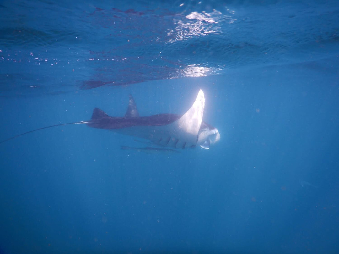 Watersports Guru-Kingscliff必去景点