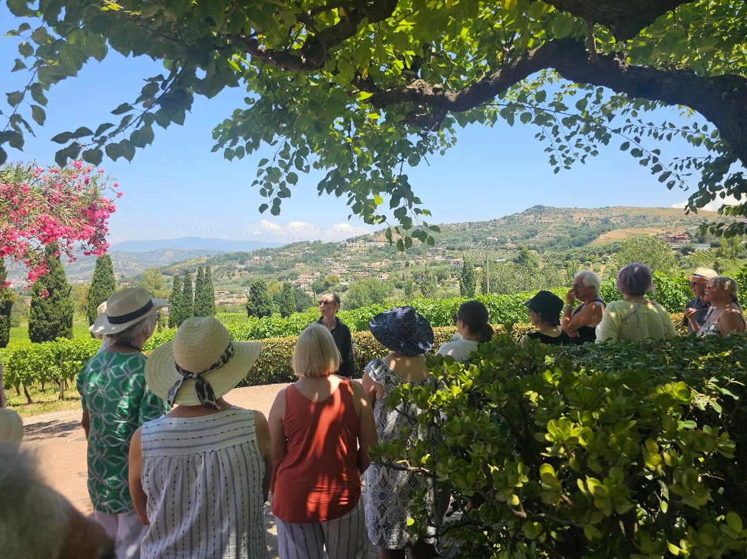 Azienda Agricola Marino-阿格罗波利必去景点