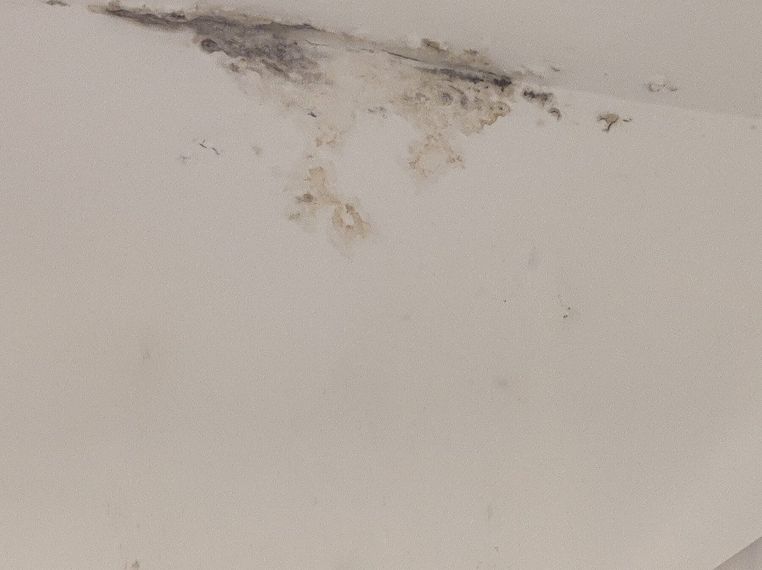 Can Moragues de Soller主图