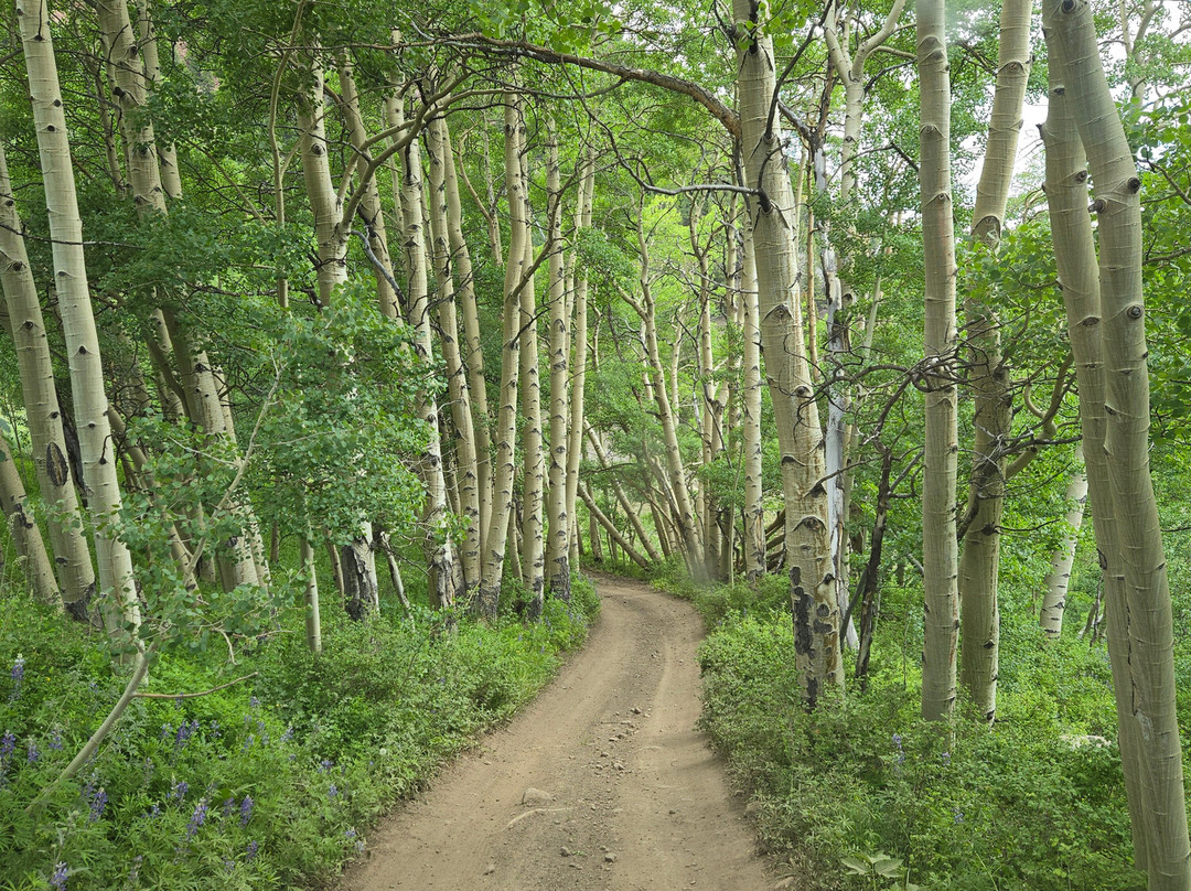 Alpenglow Rentals-克雷斯特德比特必去景点