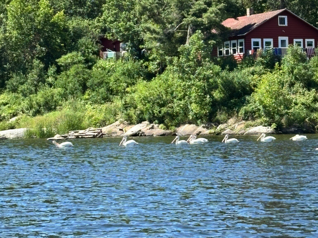 Border Guide Service-Kabetogama必去景点
