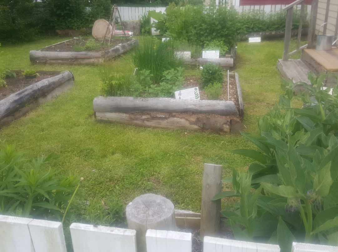 Sydney Downtown Development Association-悉尼必去景点