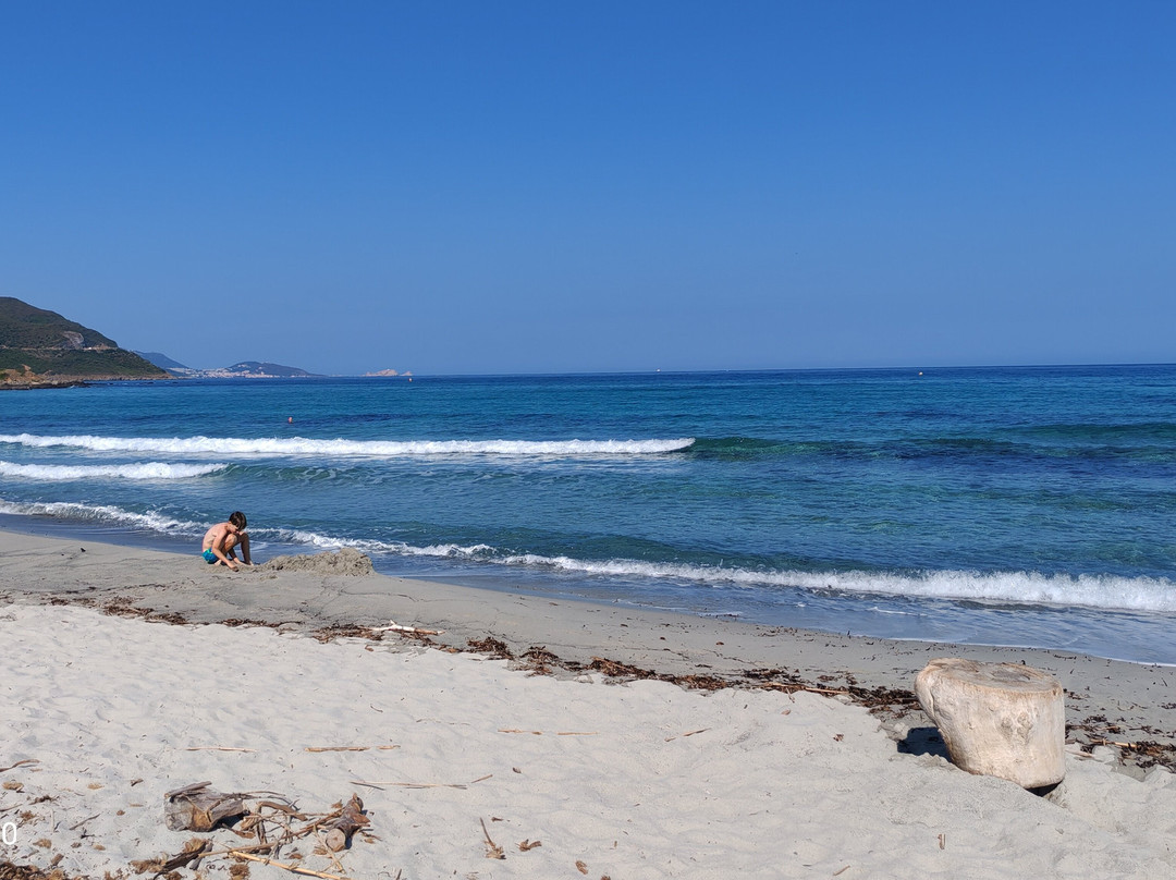 Plage de l'Ostriconi-Palasca必去景点