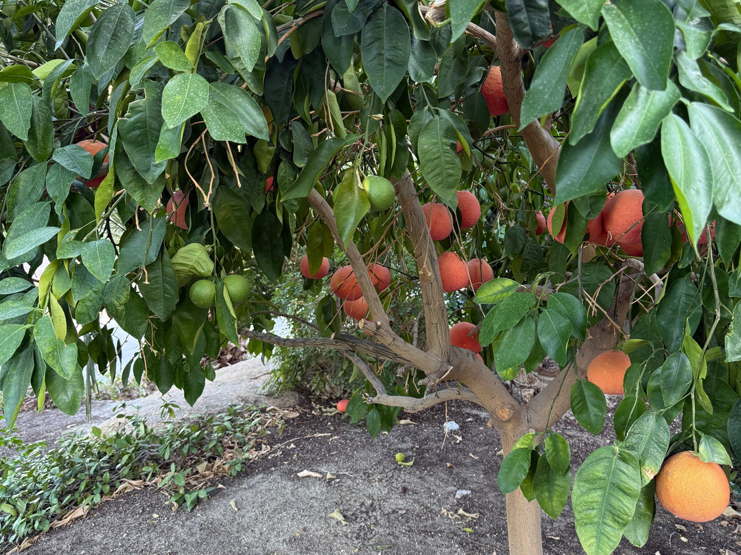 Sensei Porcupine Creek主图