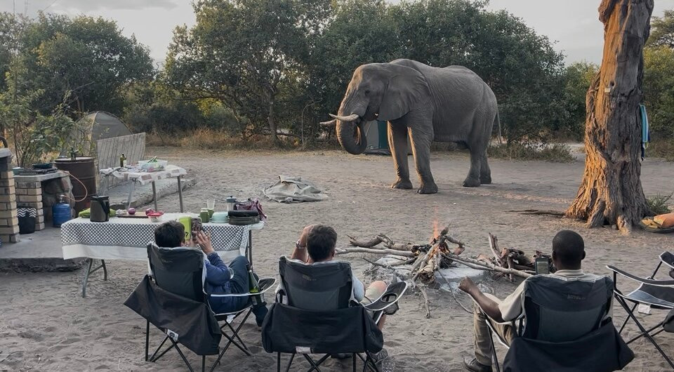 Africa's Best Adventures-开普敦必去景点