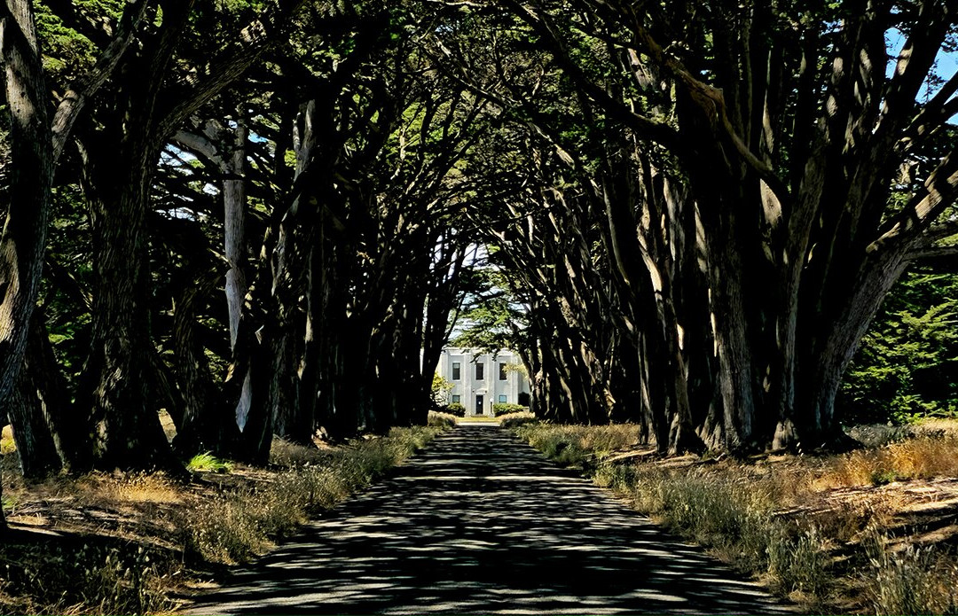 Cypress Tree Tunnel-Inverness必去景点