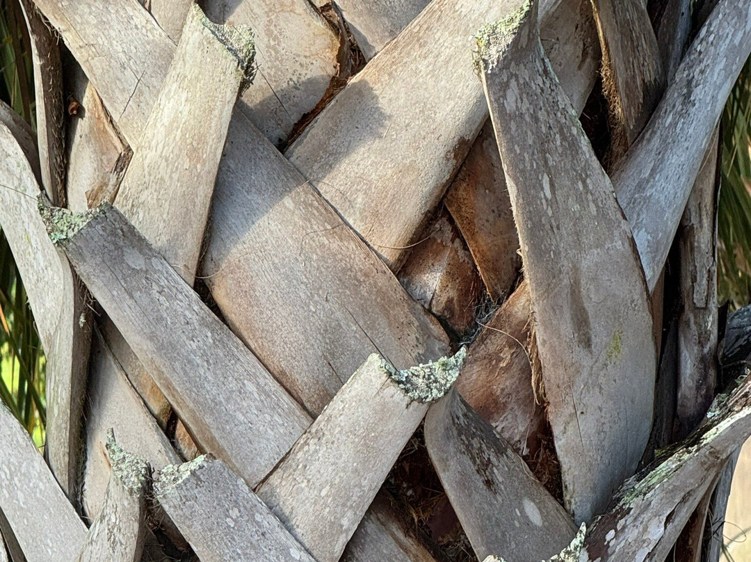 Cascades Park-塔拉哈西必去景点