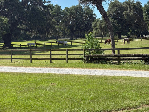 Middleton Place Equestrian Center-查尔斯顿必去景点
