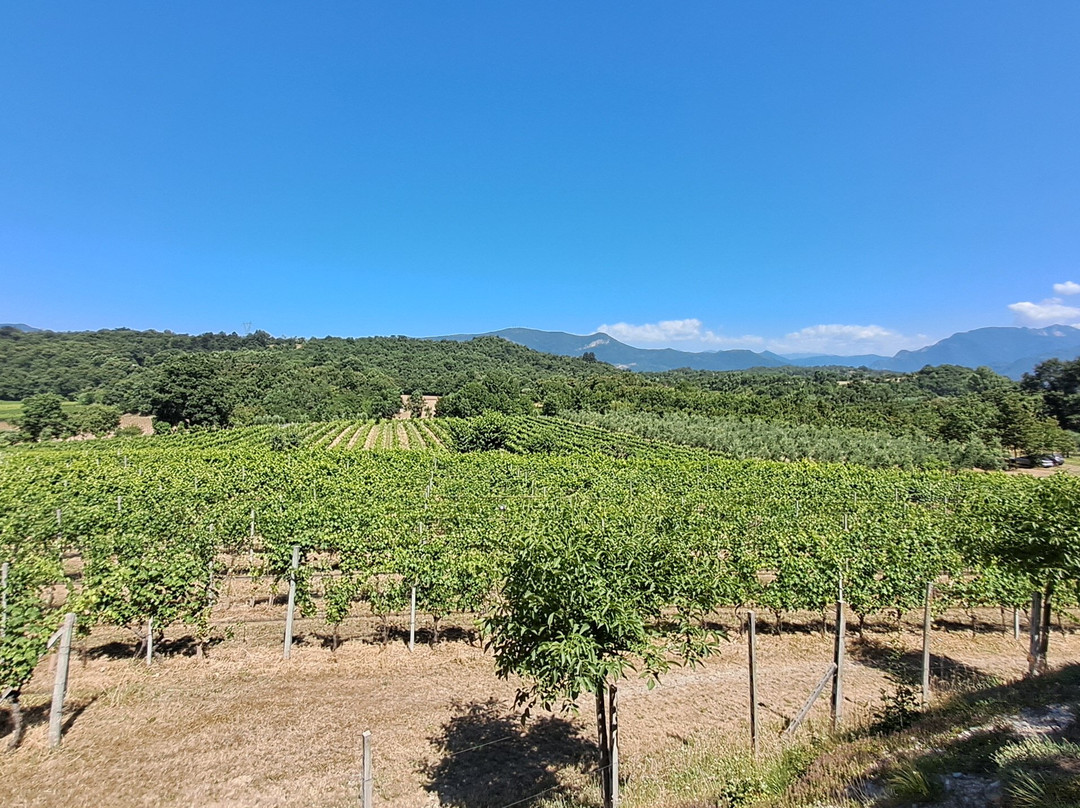 Podere Dei Folli-Polpenazze del Garda必去景点