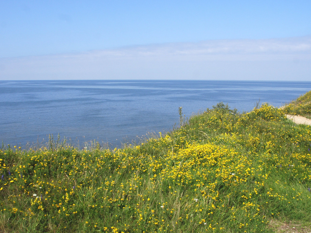 Pakri poolsaare matkarada-Paldiski必去景点