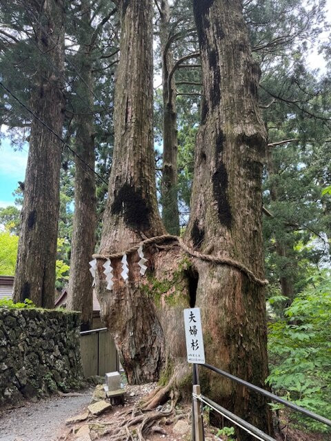 Tamaki Shrine-十津川村必去景点