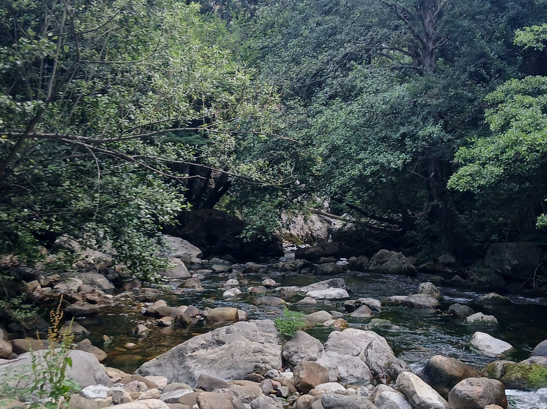 TeverAstur Senda del Oso-Teverga Municipality必去景点