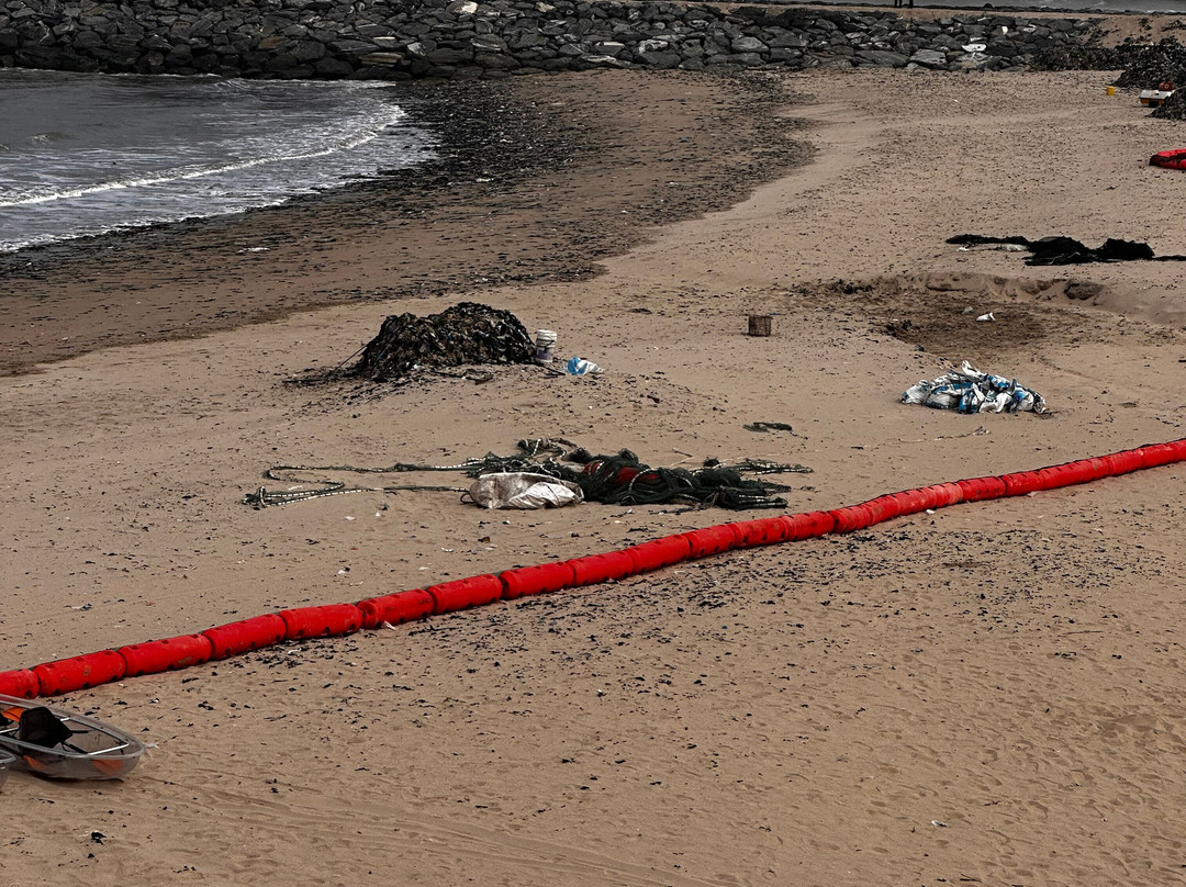 The C Resort & Residences主图