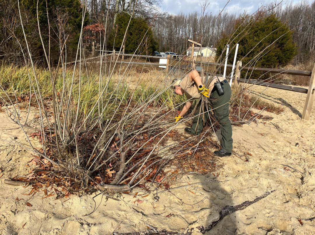 Beverly Triton Nature Park