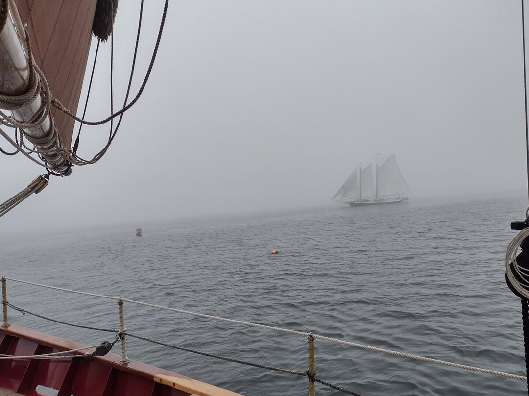 Windjammer Angelique-卡姆登必去景点