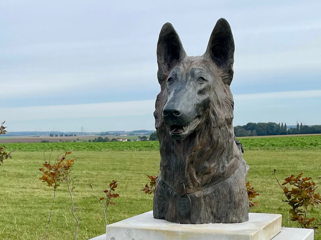 WW1 Animal War Memorial-Pozieres必去景点