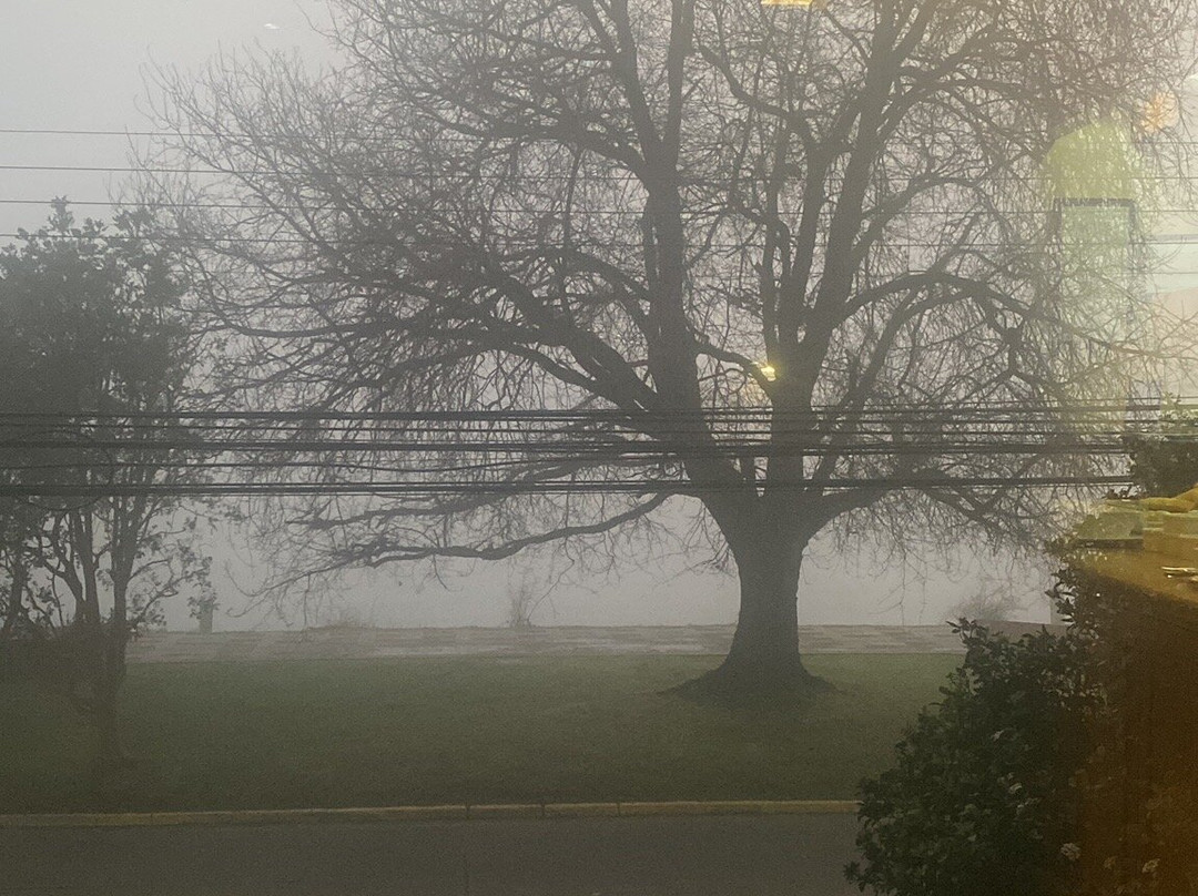 Diego de Almagro Valdivia Hotel主图