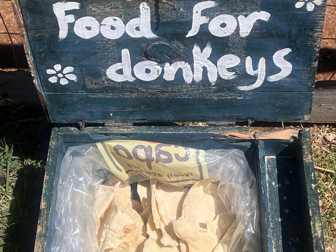 Bees House Rodos-Archipoli必去景点