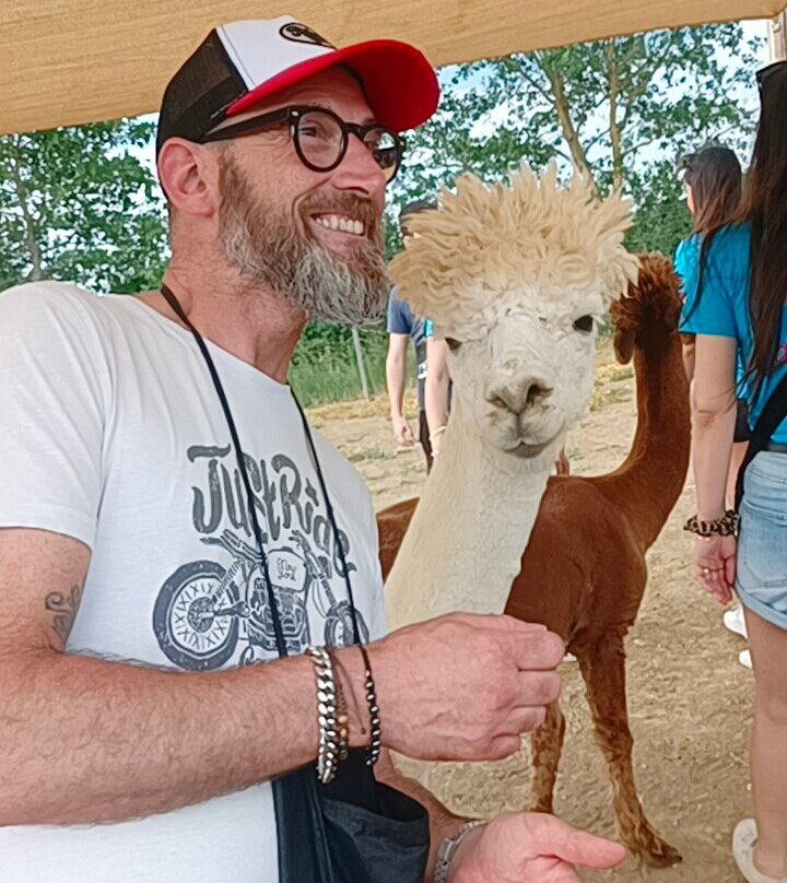 Albus Alpacas-Sasso d'Ombrone必去景点