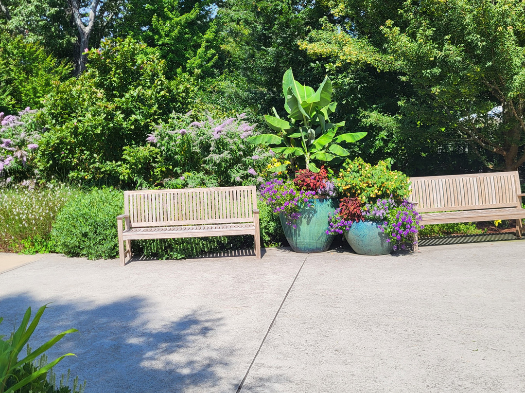 Atlanta Botanical Garden Gainesville-盖恩斯维尔必去景点