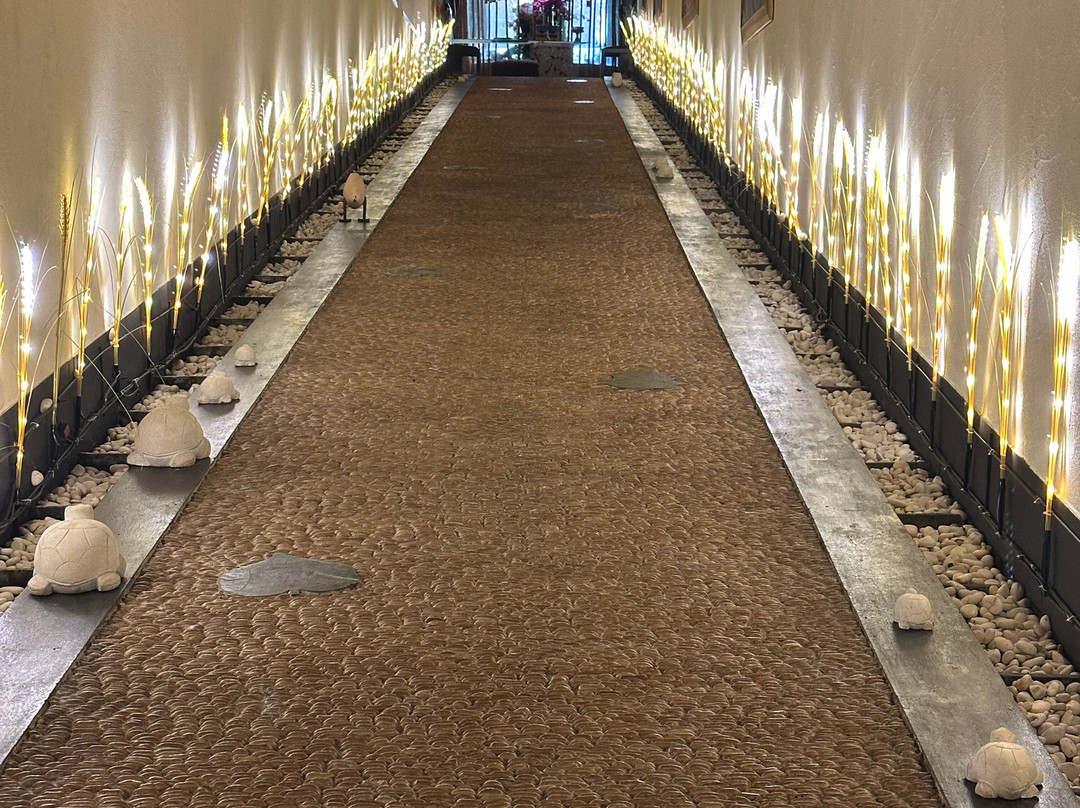 欧舒丹竹子水疗-金巴兰必去景点