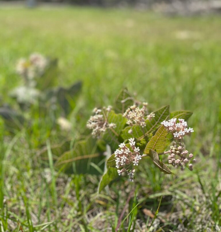 Rock Springs Guest Ranch-Sorrento必去景点