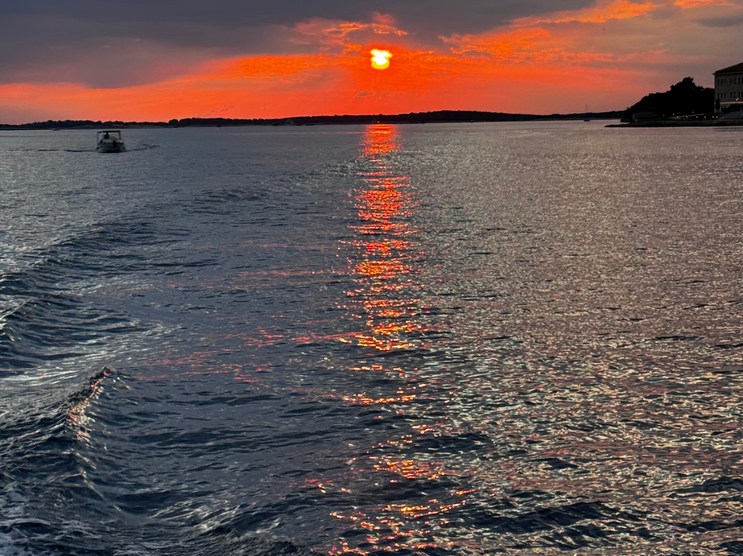 Burin Dolphin excursion Pula-普拉必去景点