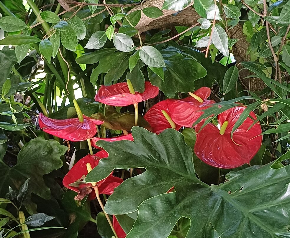 Bus Garden-切尔诺比奥必去景点