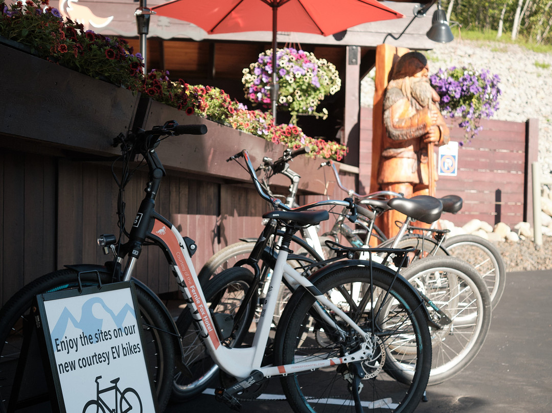 Fernie Fox Hotel主图