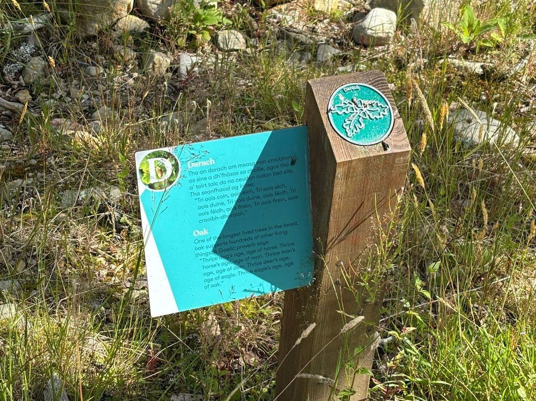 Dundreggan Rewilding Centre-因弗内斯必去景点
