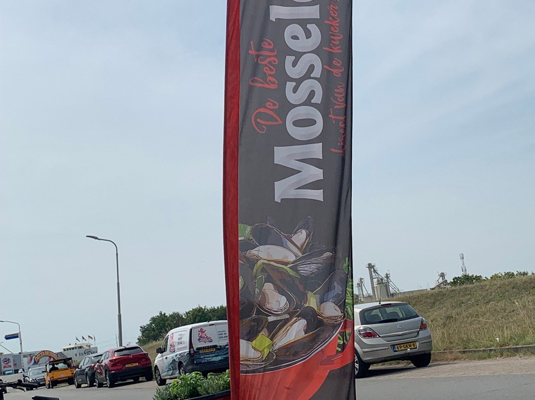 Viswinkel Aqua-triton Mossel